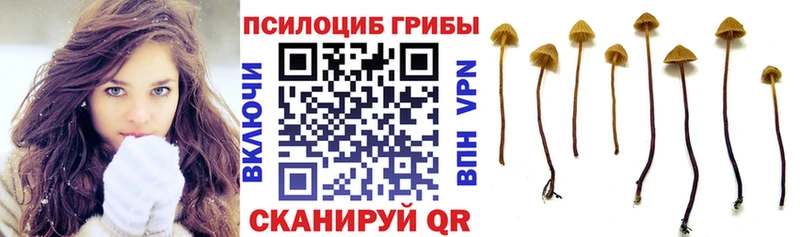 Псилоцибиновые грибы GOLDEN TEACHER  площадка клад  Белинский 